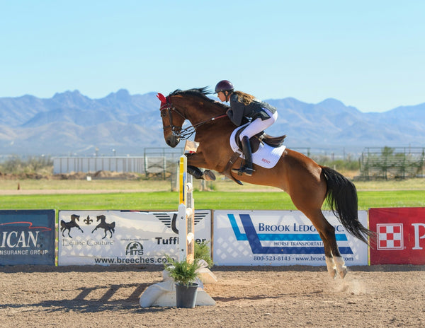 Using The OBSBOT Tail Air For Equestrian Events